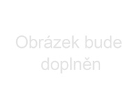 Hnědé uhlí
